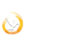 RAKEPSA-GROUP-LIGHT